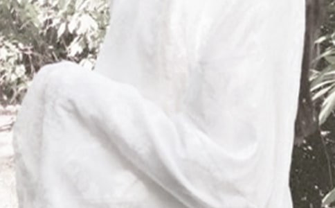 ���ں���������