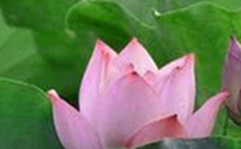 ���ɻ����������1000��