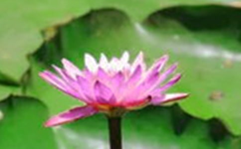 ��д�ɻ��ľ���