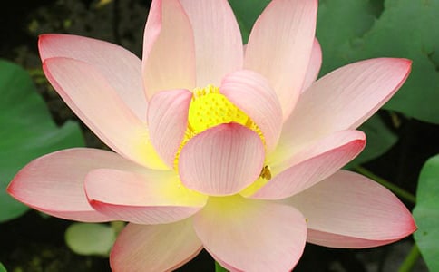 2022������ɻ��۲��¼�ռ�