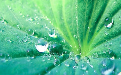 ���ڡ���ҶԲԲ���̰�ģ�弯�Ͼ�ƪ