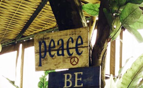 和平的作文精选15篇