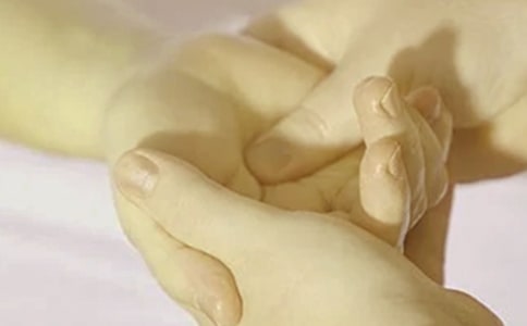 文明养宠从我做起共建和谐小区倡议书