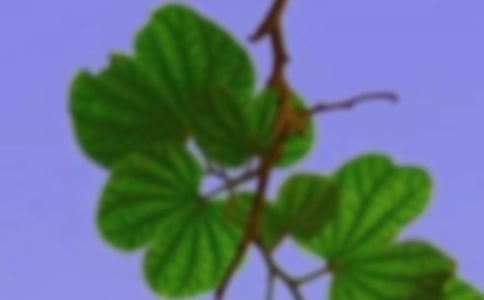 关爱老人,共建和谐倡议书