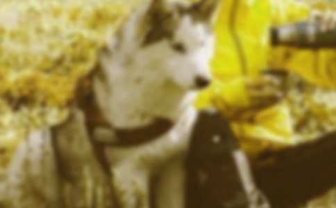 ���μ���гƽ�����蹤���ܽ᷶��