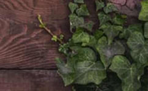 ��г������