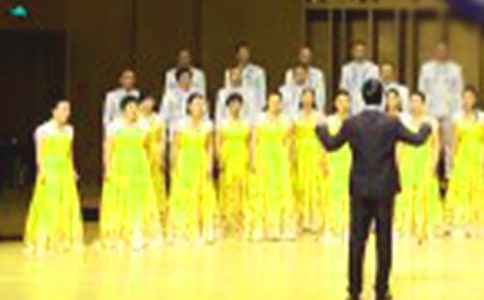 �ϳ���������