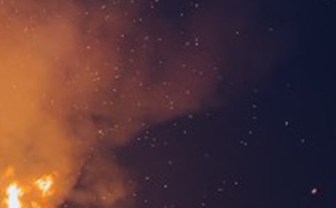 ��ҹ��Ĺ�����ɢ��