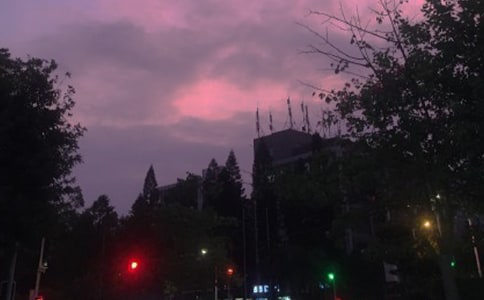 ��ҹ��������������