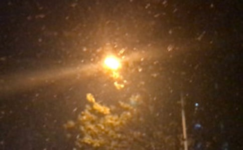 ��ҹ�¶�˵˵