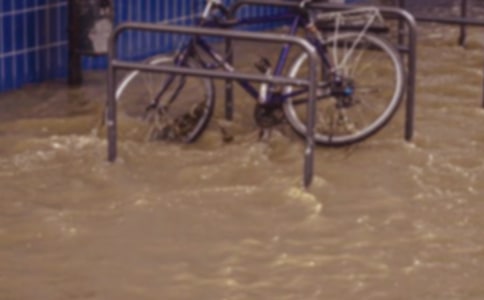 关于洪水的作文(精选20篇)