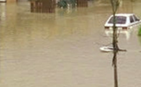 洪水无情,人间有爱作文800字