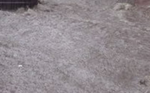 关于洪水的作文10篇