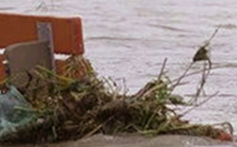 Сѧ�����ģ���ˮ����