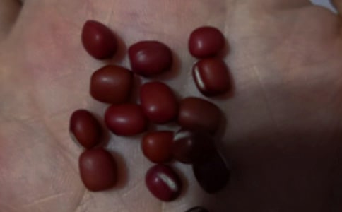 �۲�춹�ռǣ���ѡ12ƪ��