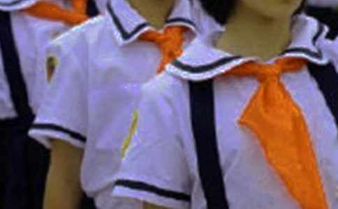 【必备】红领巾小学作文4篇