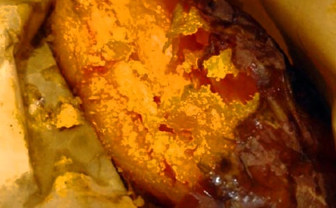 挖红薯作文600字