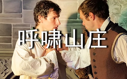 《呼啸山庄》读书笔记800字