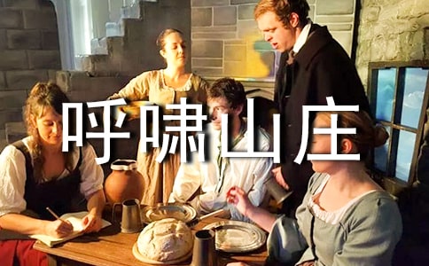 呼啸山庄读后感范文