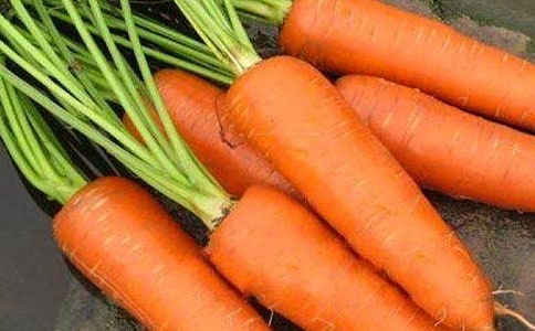 《帅帅的胡萝卜》教案