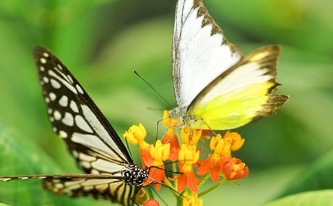 ��������300��4ƪ[����]