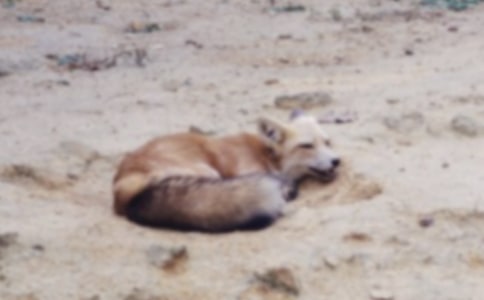 ��ù�ĺ���