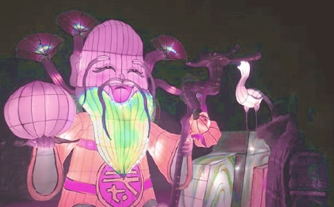 (荐)观花灯作文14篇