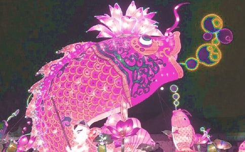 �ۻ�������250��