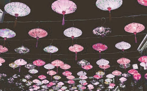 有关看花灯日记范文汇编十篇