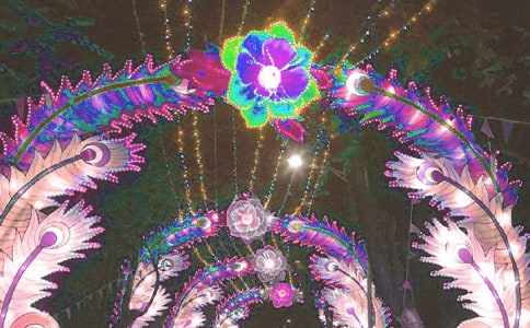 �ۻ�������350��