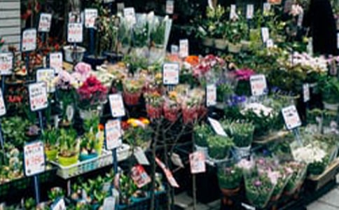 �����������������