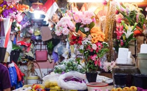 ���ϻ��괴ҵ�ƻ���