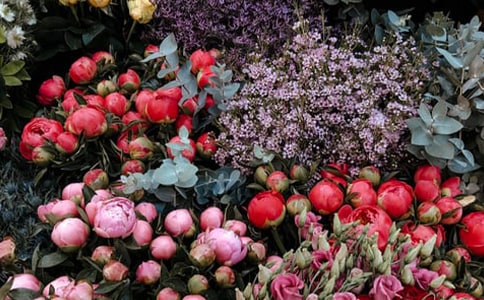 ���ڻ������ʵ������