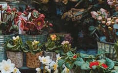 ȥ����������