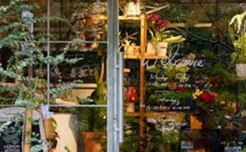 ��������