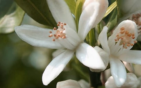 �������Ļ������з���