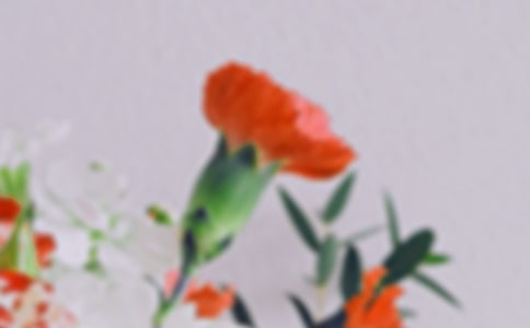 花朵中的公主(2)