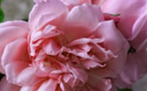 �����Ļ���˵˵