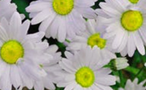 ��Ҫ��������Ļ������ģ���ѡ22ƪ��