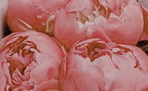 关于开在心中的花朵的作文