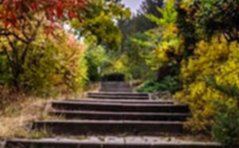 ��԰��������