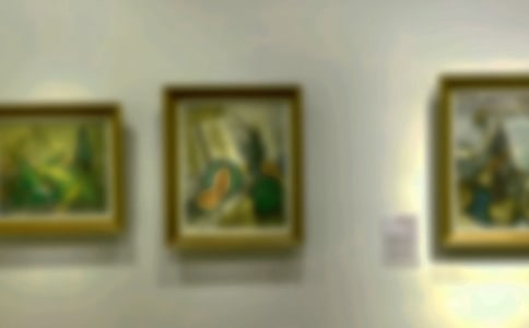 ��ѧ�黭չ���������ѡ16ƪ��