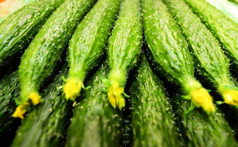 �Ļƹ����༼��