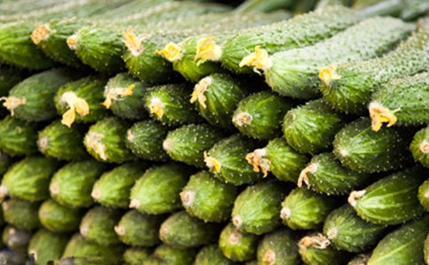 ������ƹ�-״������700��