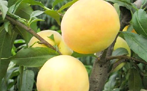 ����Ļ�������