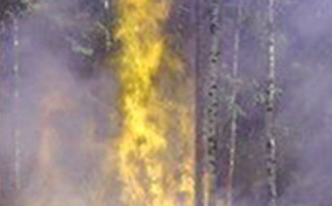 (����)��������������14ƪ