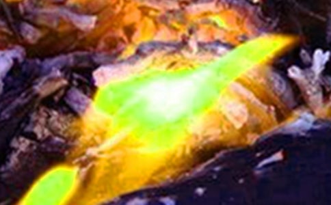 ����Ԥ�����ִ�����������