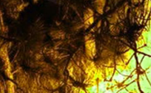 火灾事故简报(通用19篇)