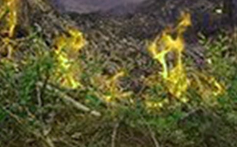 小学今冬明春火灾防控工作总结