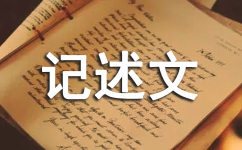 ������������ģ���ѡ��